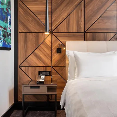 فندق Radisson Blu Hotel,