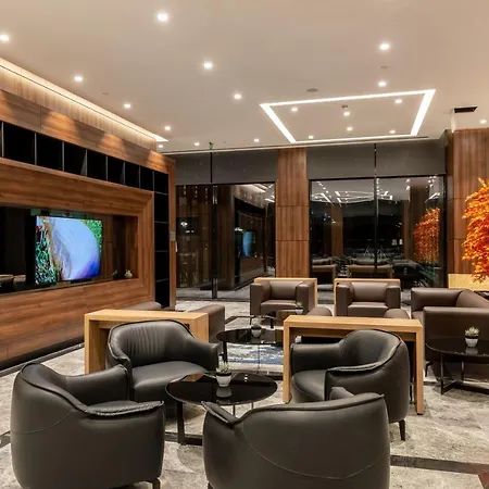 Radisson Blu Hotel, Hotel