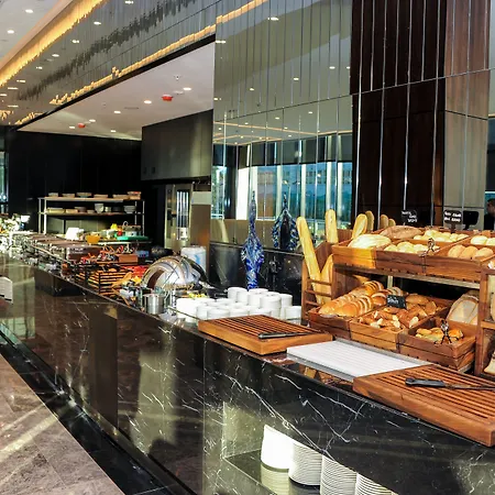Radisson Blu Hotel, ساكاريا