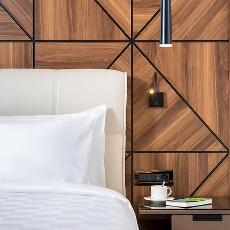 Otel Radisson Blu Hotel, Sakarya (Marmara)
