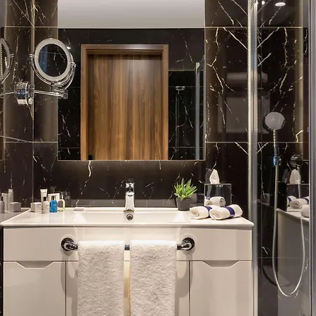 Radisson Blu Hotel, Hotel