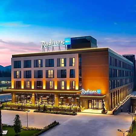 Hotel Radisson Blu Hotel,