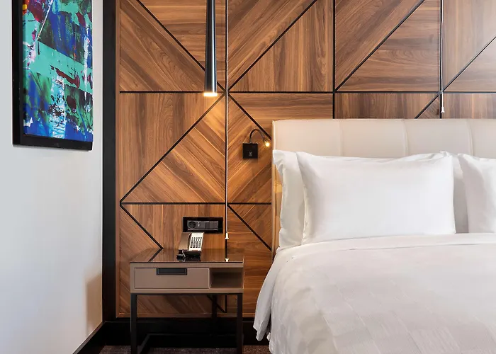 Radisson Blu Hotel, 酒店 萨卡里亚